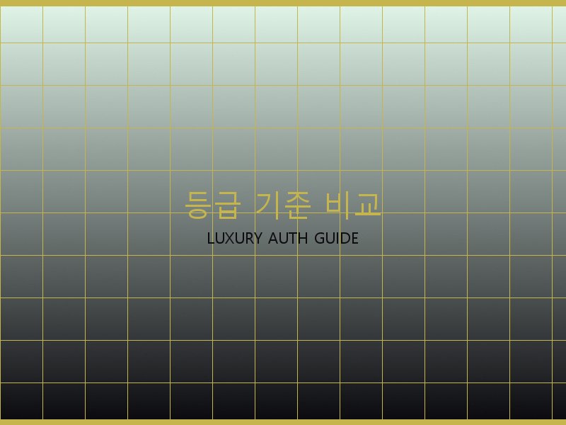 미러급 레플리카 사이트 등급 기준 비교